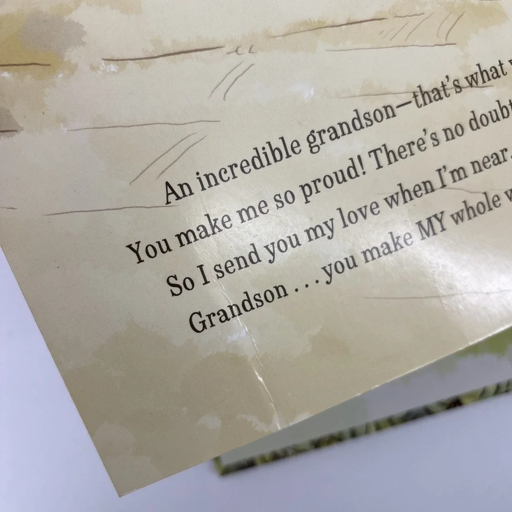 Grandson You Make the World Grand Hallmark Recordable Story Book Tested‎